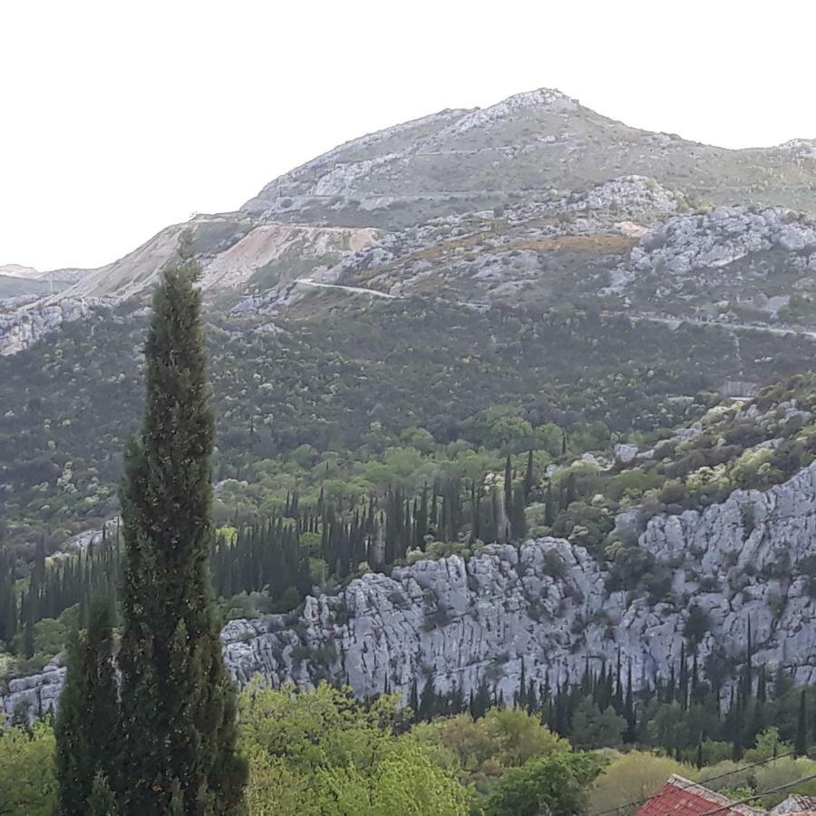 Antea Διαμέρισμα Mlini Εξωτερικό φωτογραφία